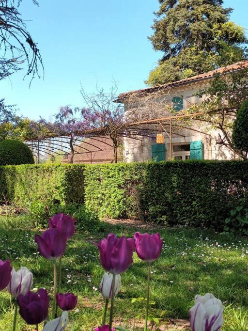 Charmant Studio Avec Jardin A La Campagne Sur Le Chemin De Saint Jacques De Compostelle Appartement Lauzerte Buitenkant foto